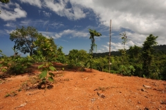 landscape103