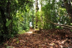 landscape106