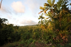 landscape109