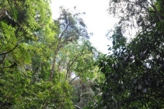 landscape122
