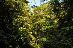 landscape127