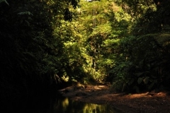 landscape128