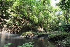 landscape141