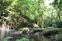 landscape142