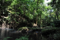 landscape144