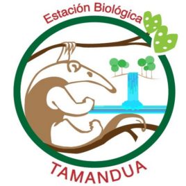 TAMANDUA 